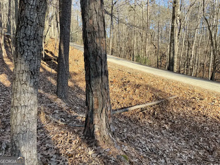 2458 Montage Drive #2458, Ellijay, GA 30540 - #3