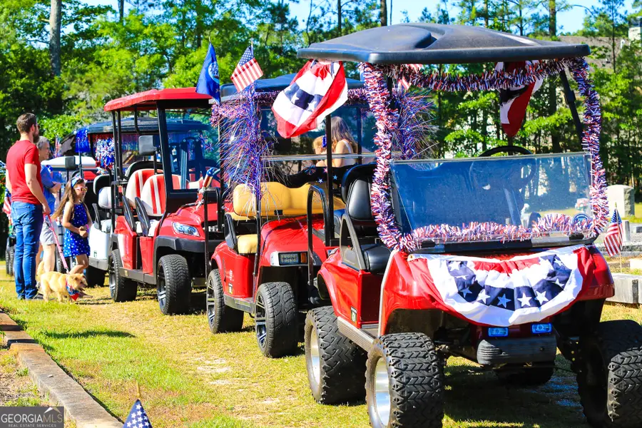 209 Maddington Court, Senoia, GA 30276 - Image #3