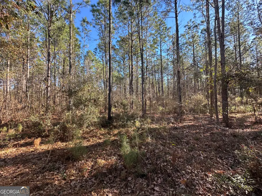 0 Halcyondale Loop, Sylvania, GA 30467 - Image #2