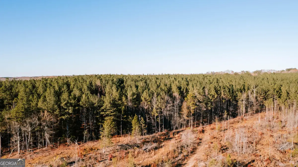 0 Washington Road, Lexington, GA 30648 - Image #1