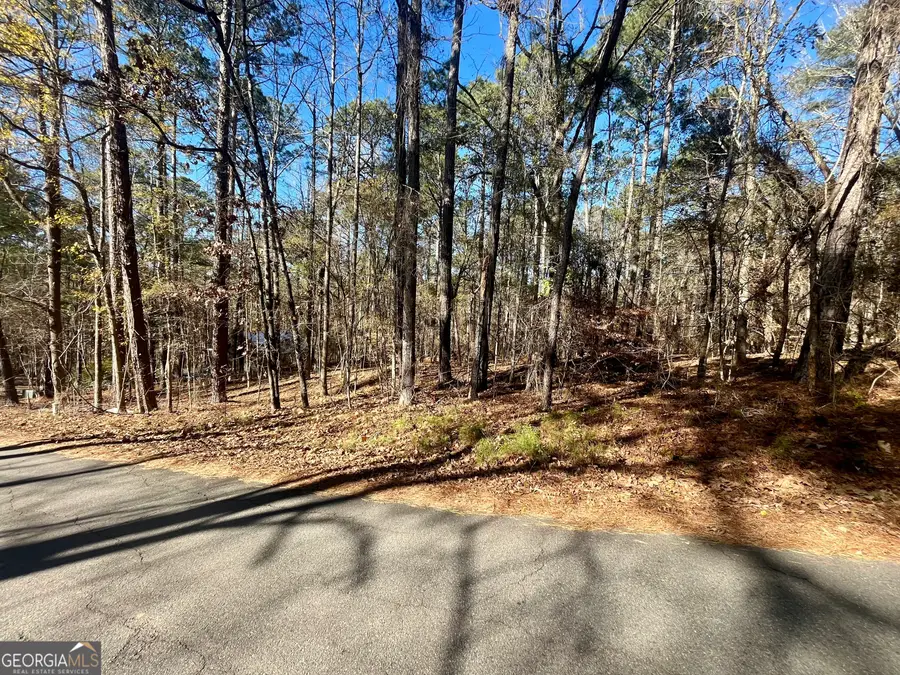 0 Warbler Lane #LOT 59, Monticello, GA 31064 - Image #3