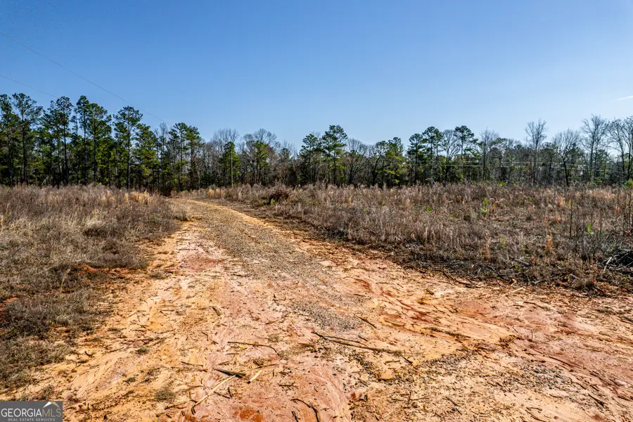 869 Marion Ripley Road, Dry Branch, GA 31020 - Image #3