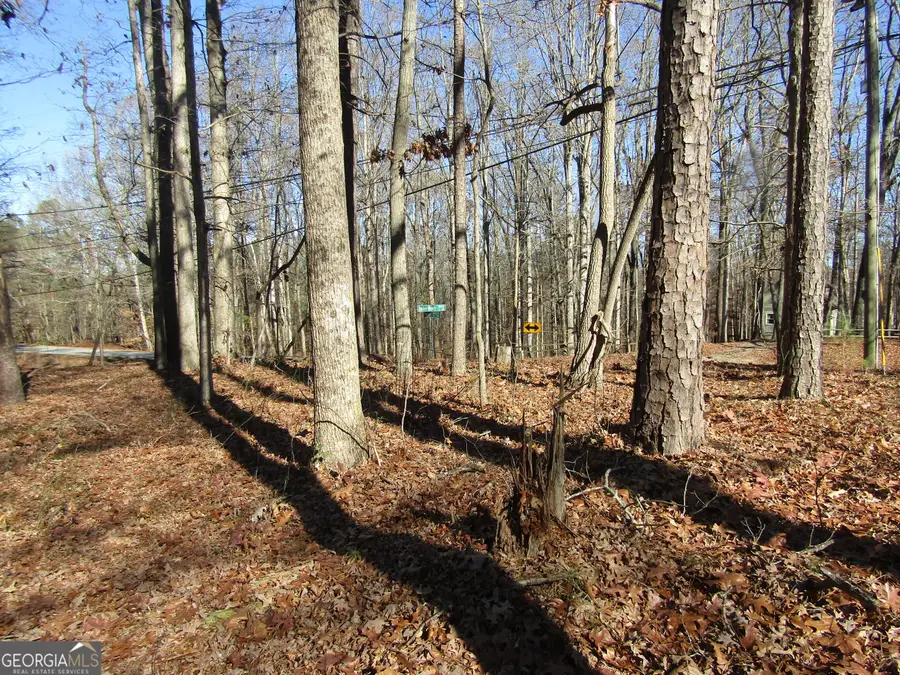 0 Fence Road, Dacula, GA 30019 - Image #2