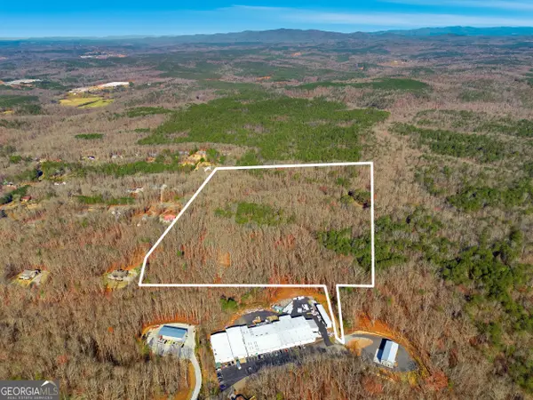 209 Hogan Pond Lane, Ball Ground, GA 30107