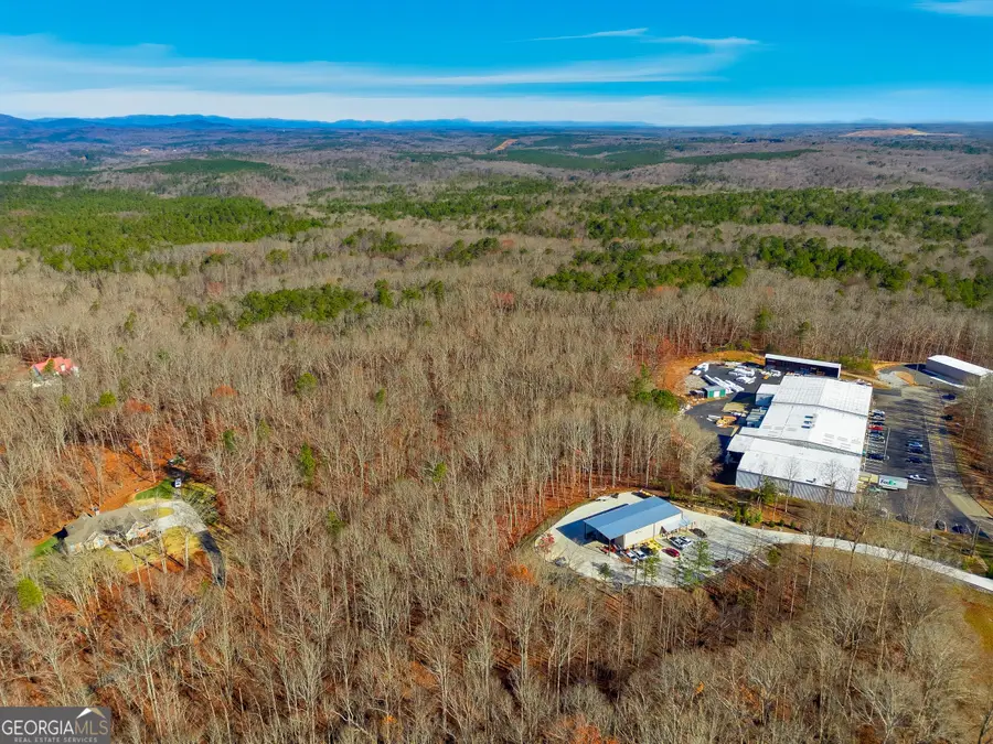 209 Hogan Pond Lane, Ball Ground, GA 30107 - Image #3