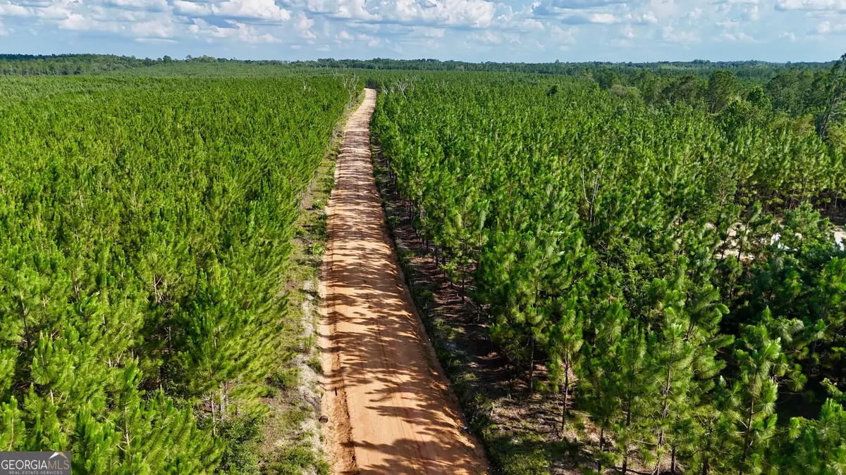 TRACT 7 Penny Morris Road, Baxley, GA 31513 - Image #1