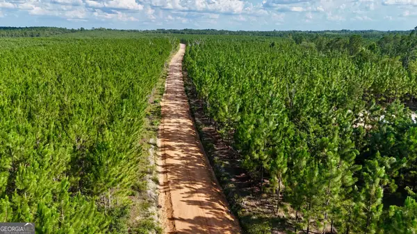 TRACT 7 Penny Morris Road, Baxley, GA 31513