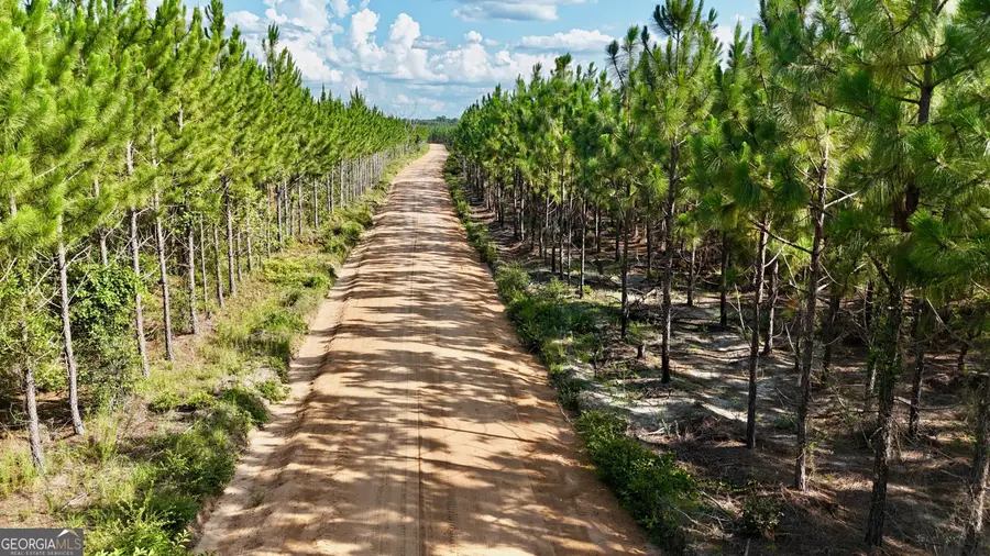 TRACT 7 Penny Morris Road, Baxley, GA 31513 - Image #2