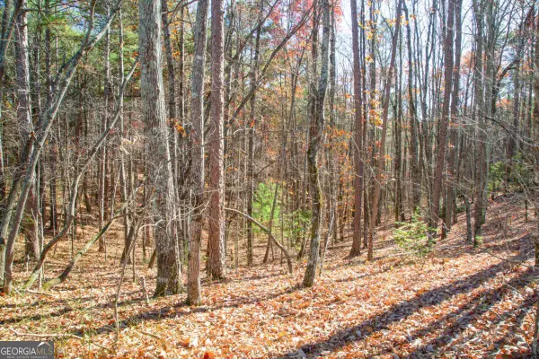 119 Waldrip Drive, Dawsonville, GA 30534