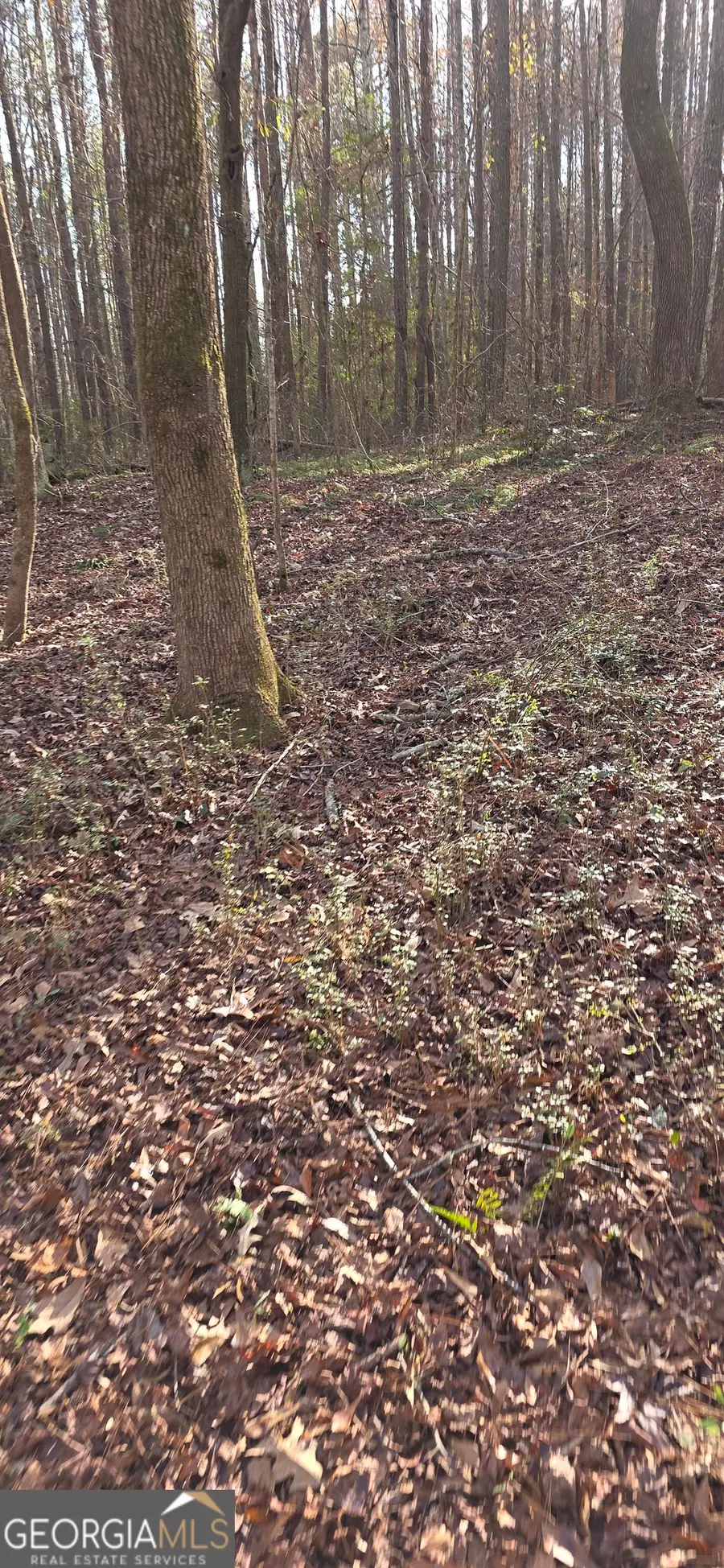 0 Martin Street, Mount Zion, GA 30150 - Image #3