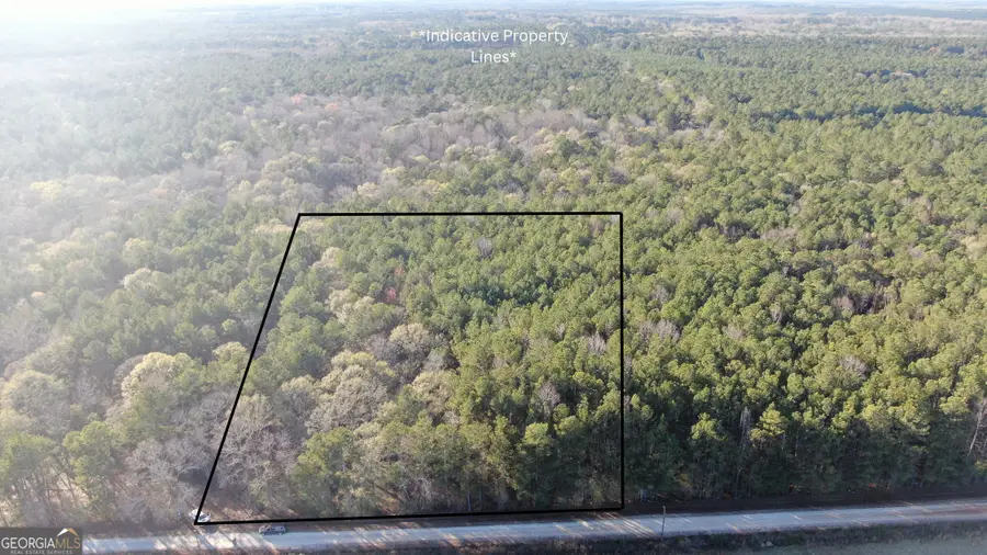 0 Findley Cato Rd, Woodbury, GA 30293 - Image #3