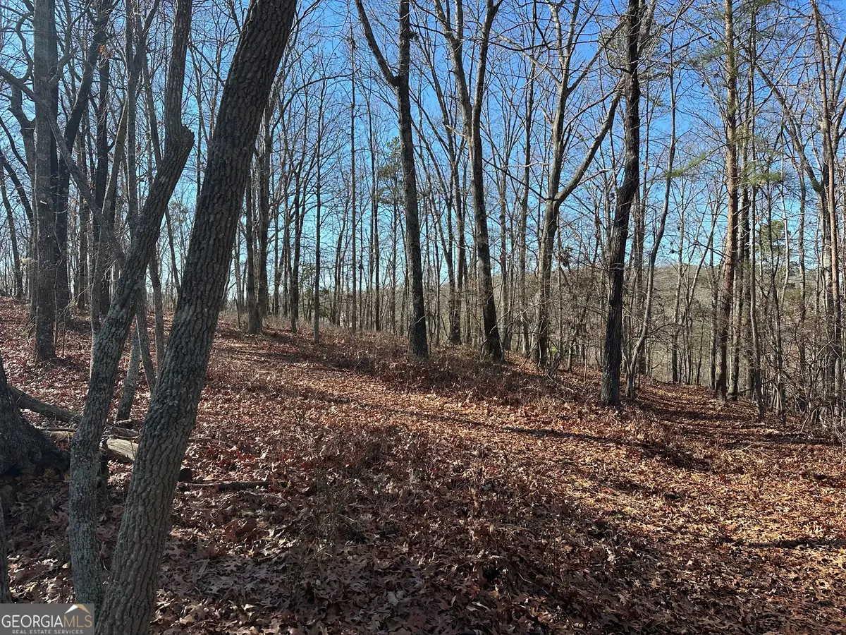 0 Charlie Lemley Road, Dawsonville, GA 30534 - Image #1