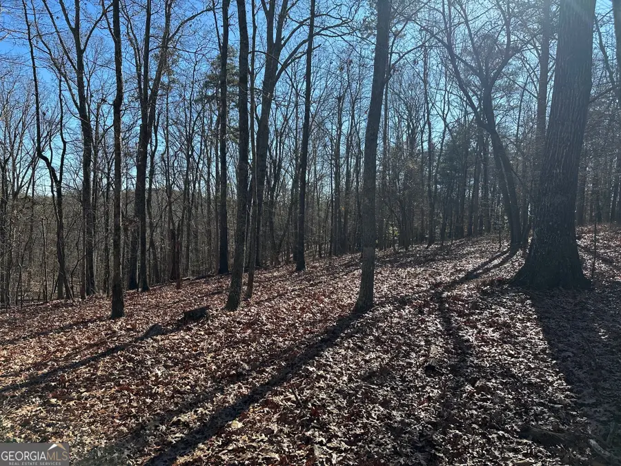 0 Charlie Lemley Road, Dawsonville, GA 30534 - Image #2