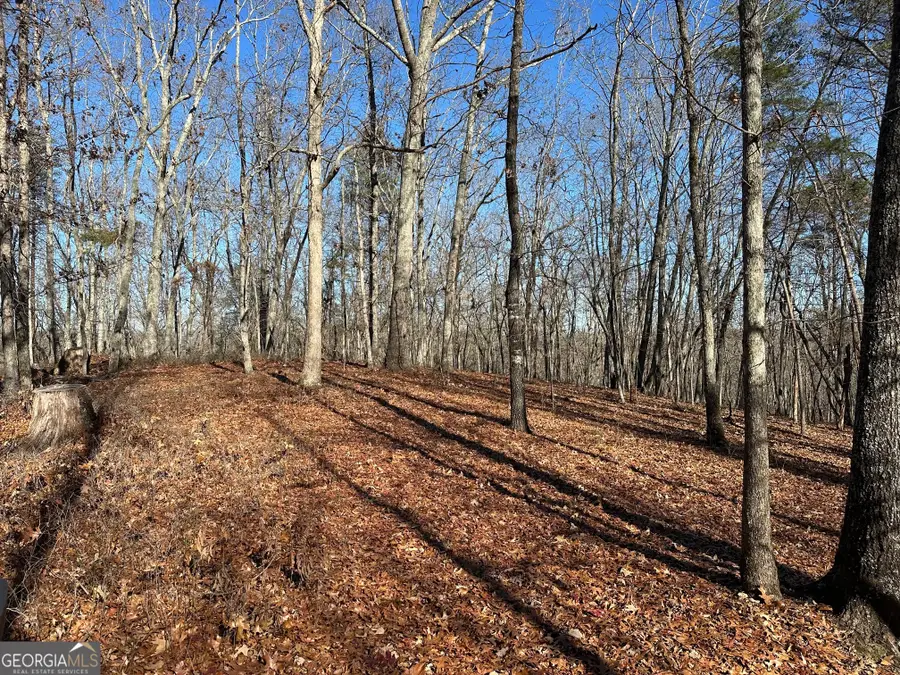 0 Charlie Lemley Road, Dawsonville, GA 30534 - Image #3