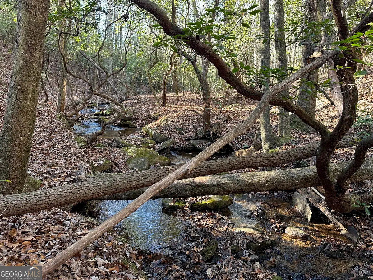 125 Patriot View Drive, Dahlonega, GA 30533 - Image #1