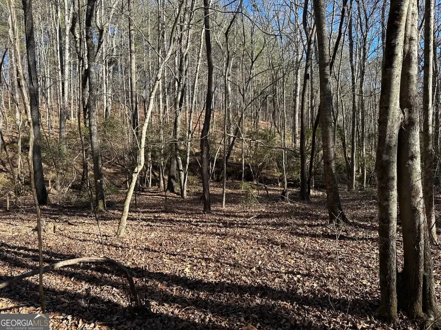 125 Patriot View Drive, Dahlonega, GA 30533 - Image #2