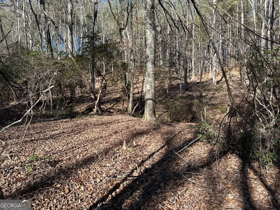 125 Patriot View Drive, Dahlonega, GA 30533 - Image #3