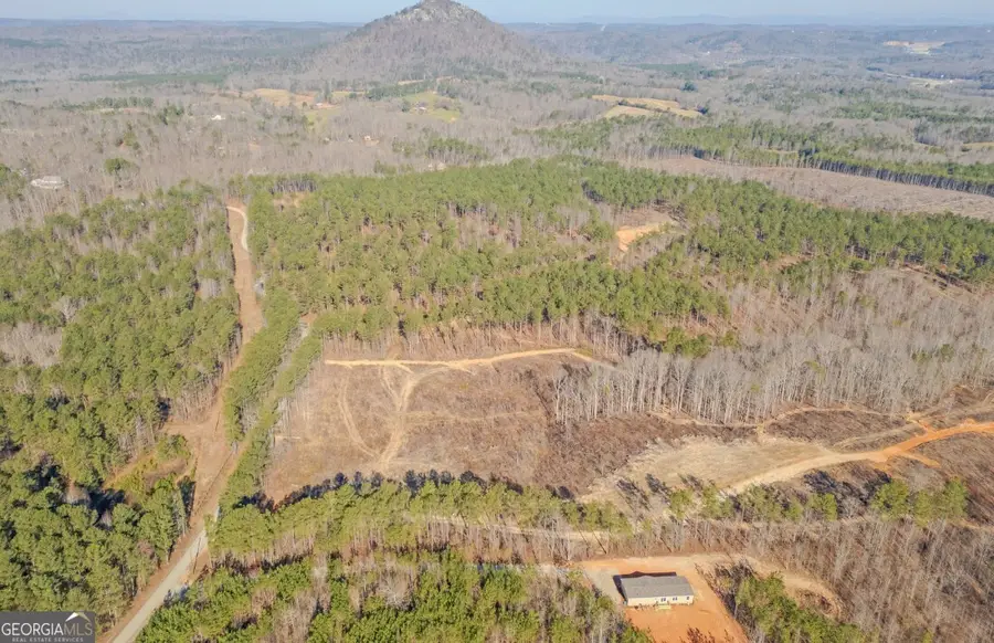 915 W Leatherwood Road, Toccoa, GA 30577 - Image #2