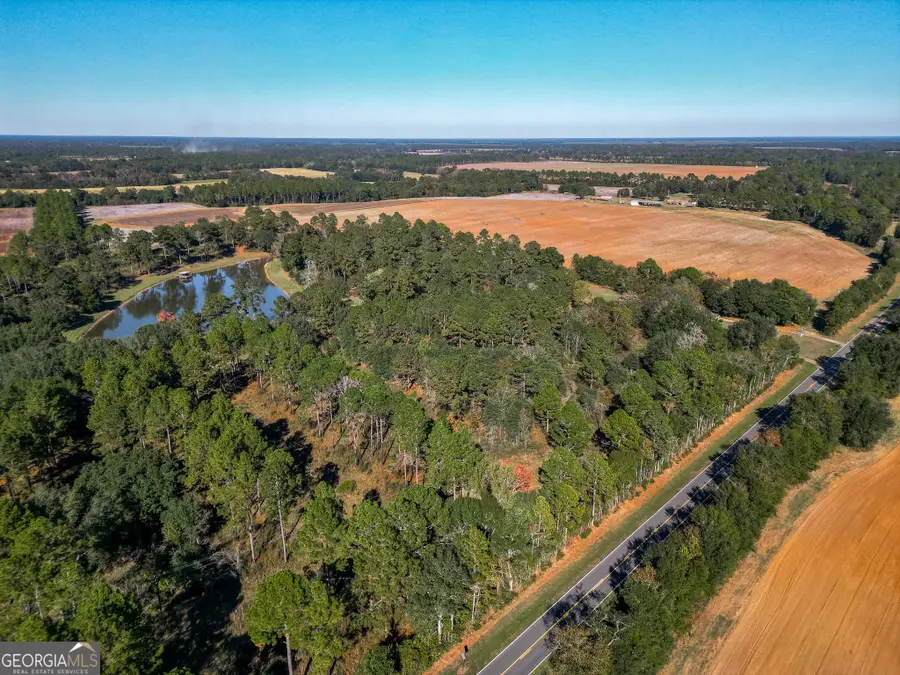 0 New York Road, Leesburg, GA 31763 - Image #2