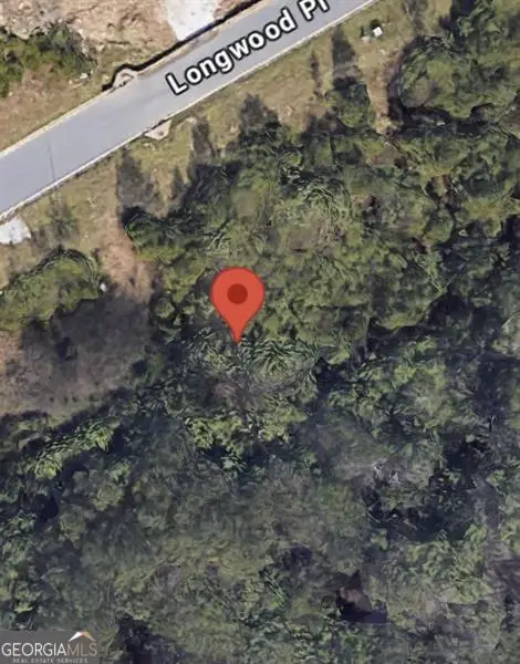 439 Longwood Place, Dallas, GA 30132 - Image #2