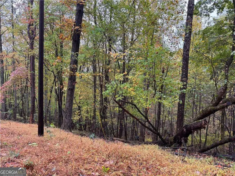 0 Mountain Oak Road, Ellijay, GA 30536 - #3