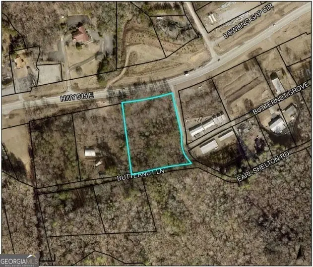 0 Butternut Lane #36 & 37, Blairsville, GA 30512 - Image #1