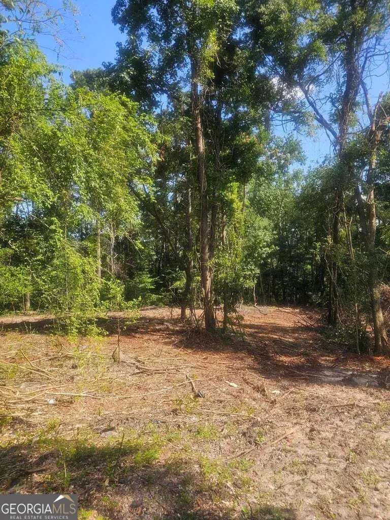 470 Forrest Drive, Louisville, GA 30434 - #3