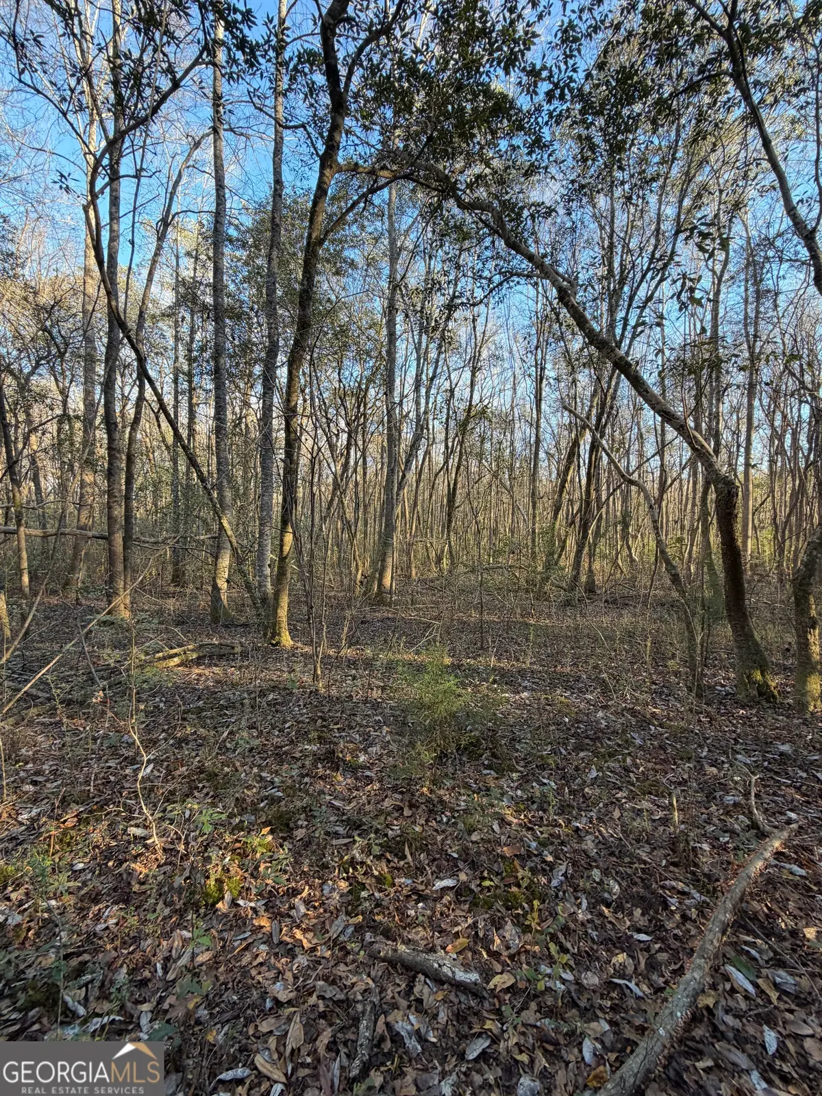 13990 Ga Highway 27, Lumpkin, GA 31815 - Image #1