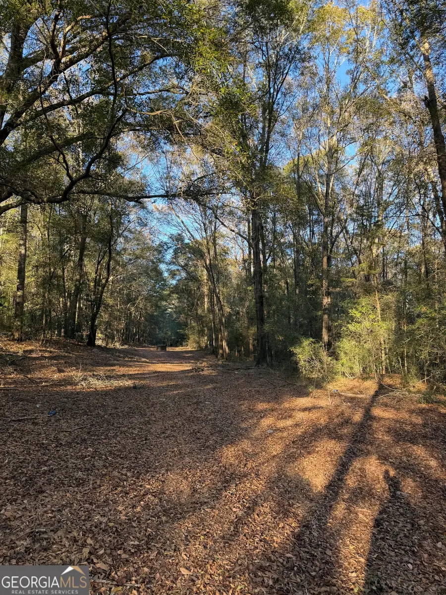 13990 Ga Highway 27, Lumpkin, GA 31815 - Image #3