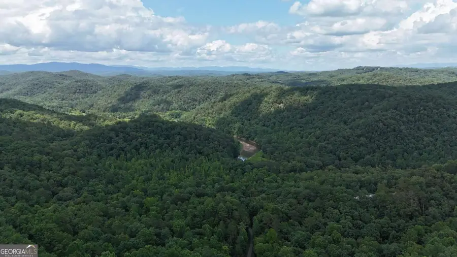 575 Galaxy Way Ne, Ranger, GA 30734 - Image #3