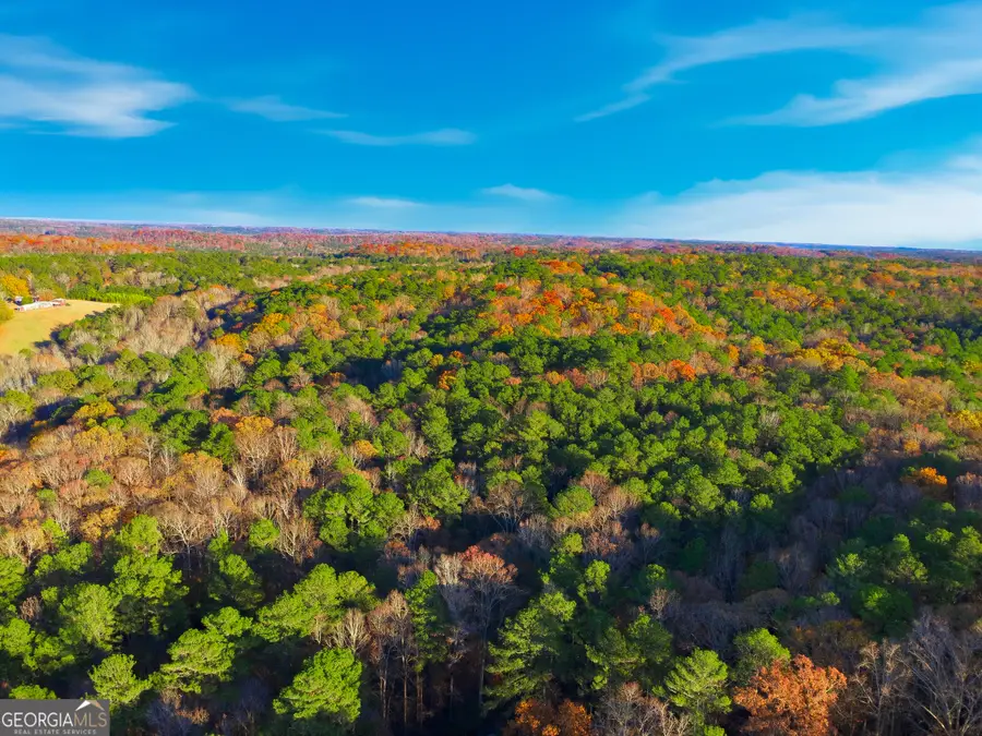 10220 Rivertown Road, Chattahoochee Hills, GA 30213 - Image #3