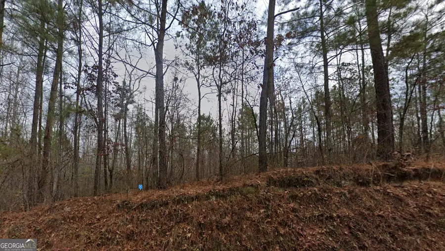 7720 Tyree Road, Winston, GA 30187 - Image #2