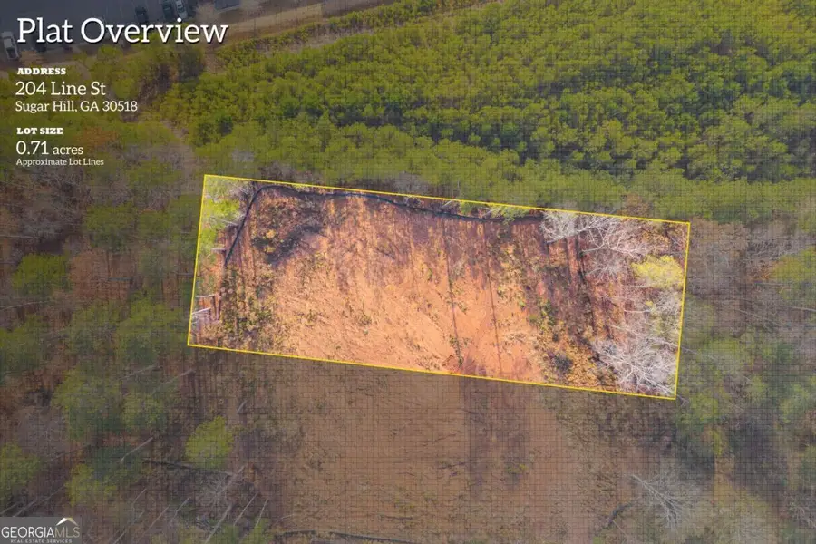 204 Line Street, Buford, GA 30518 - Image #3