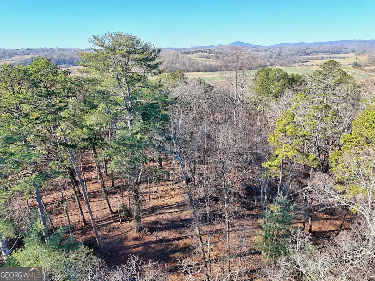 #3 Annandale Drive, Clarkesville, GA 30523 - Image #1