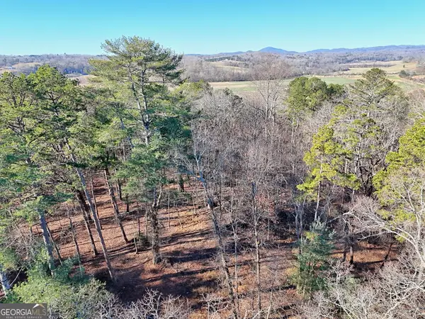 #3 Annandale Drive, Clarkesville, GA 30523