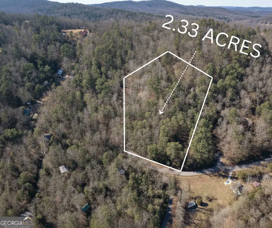 LOT 58 Doe Run, Ellijay, GA 30540 - Image #2