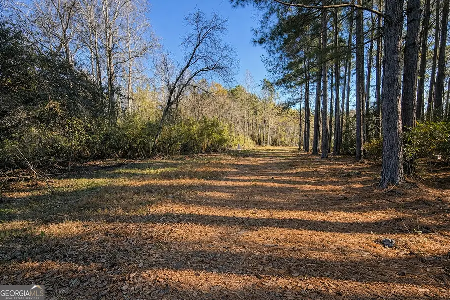 1212 Lake Collins Road, Twin City, GA 30471 - Image #2