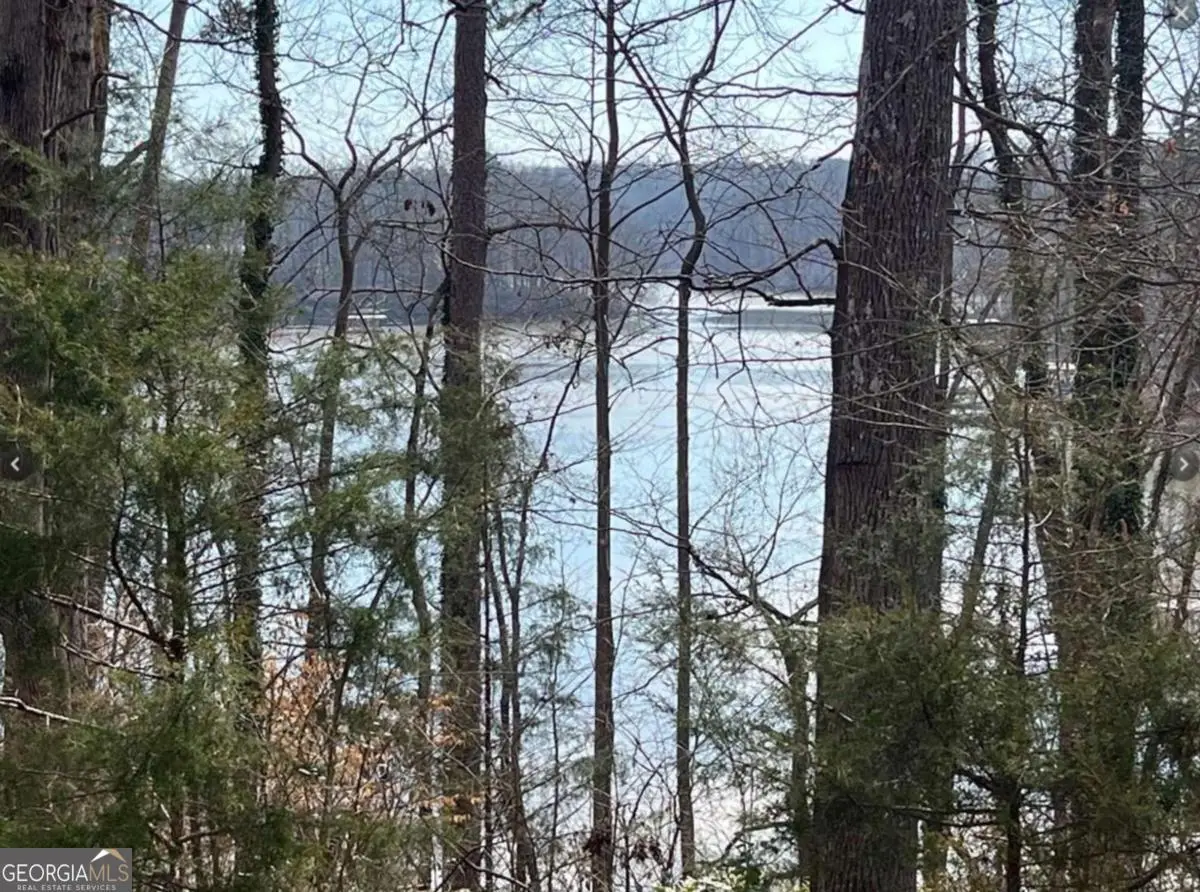 0 Rue Maurice, Lavonia, GA 30553 - Image #1