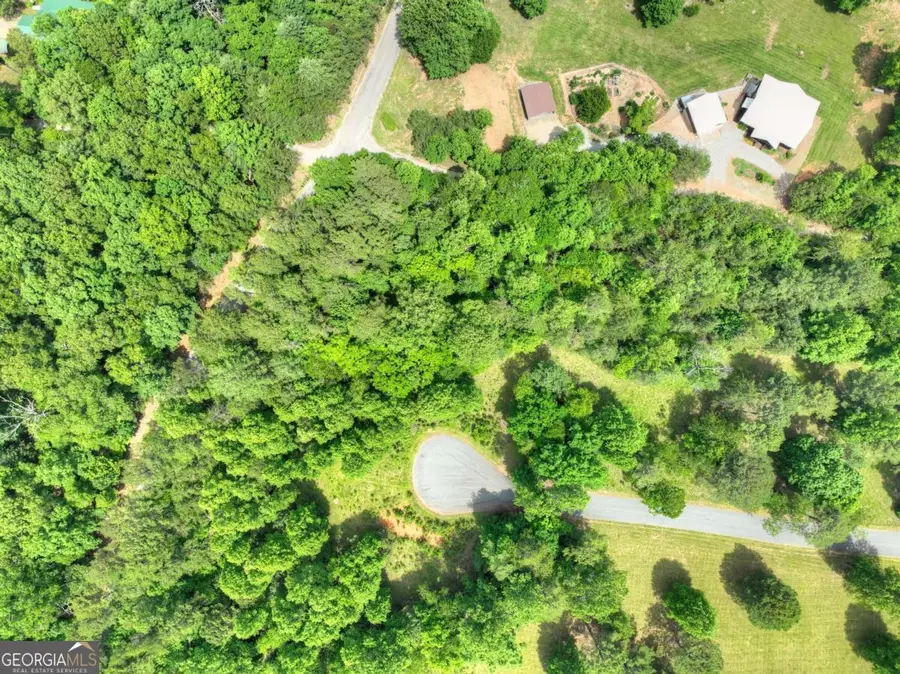 LOT 132 Fox Cove Road #132, Blairsville, GA 30512 - Image #2