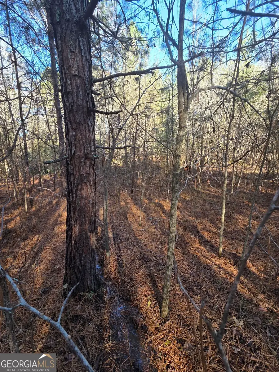 2920 State Rte 11 Highway Nw, Monroe, GA 30656 - Image #2