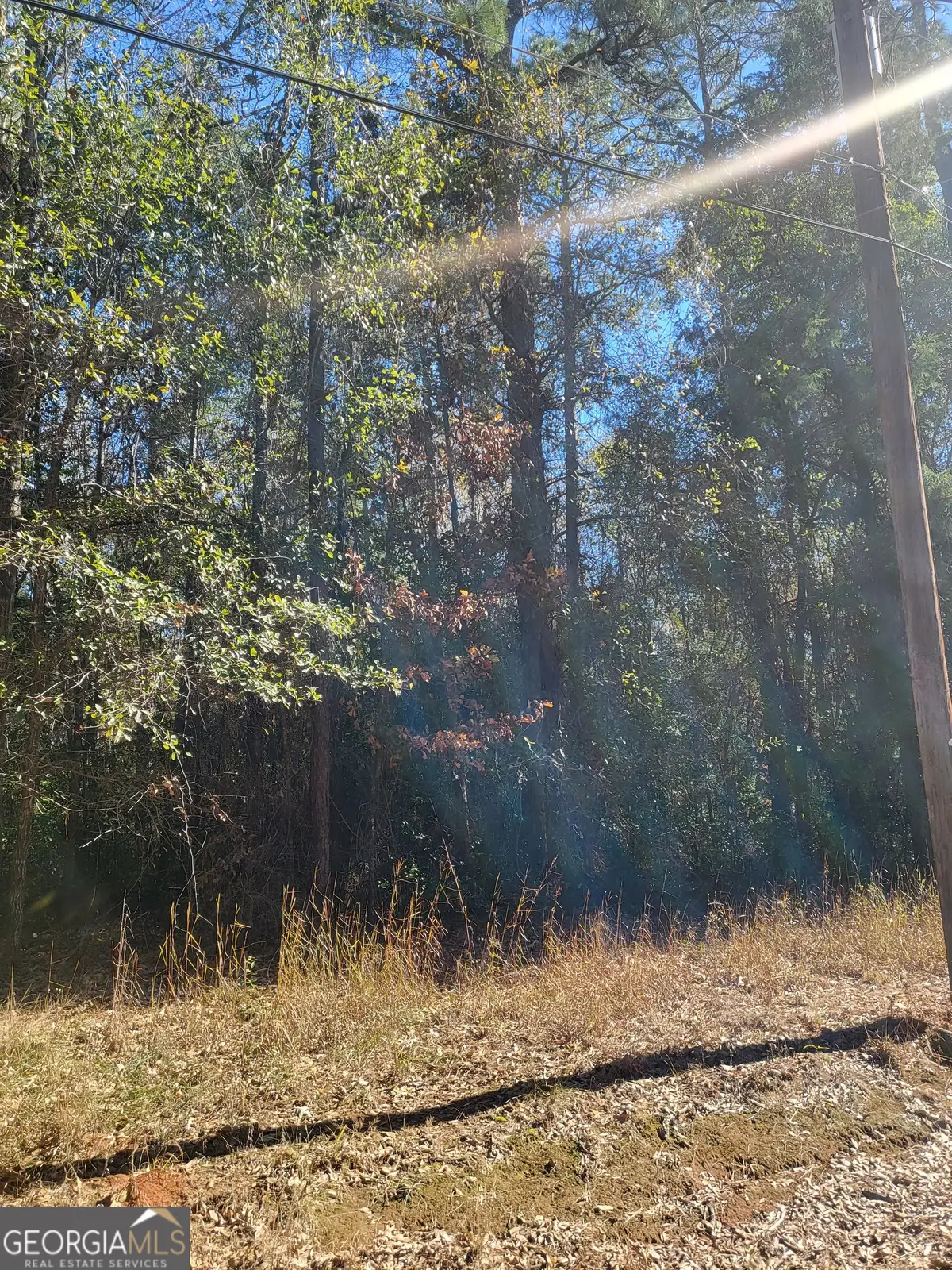 0 Lumpkin Street, Albany, GA 31705 - Image #1