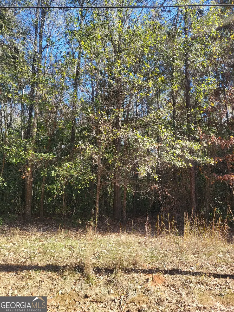 0 Lumpkin Street, Albany, GA 31705 - Image #2