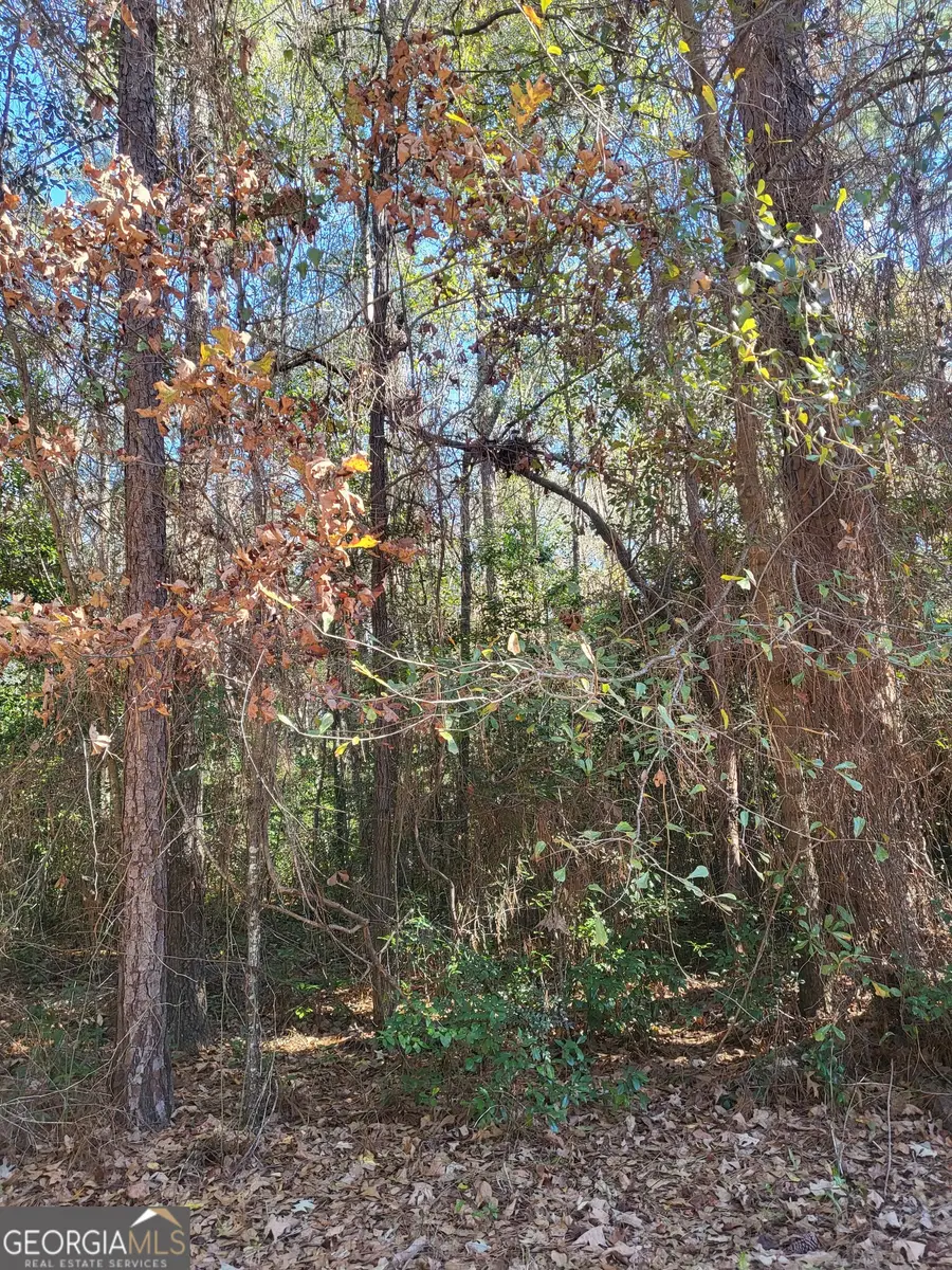 0 Lumpkin Street, Albany, GA 31705 - Image #3