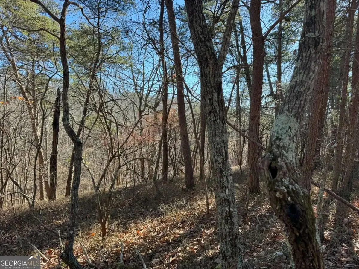 1493 Derby Court Ne, Ranger, GA 30734 - Image #1