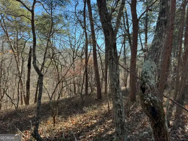 1493 Derby Court Ne, Ranger, GA 30734