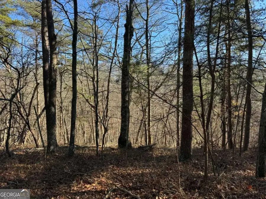 1493 Derby Court Ne, Ranger, GA 30734 - Image #3