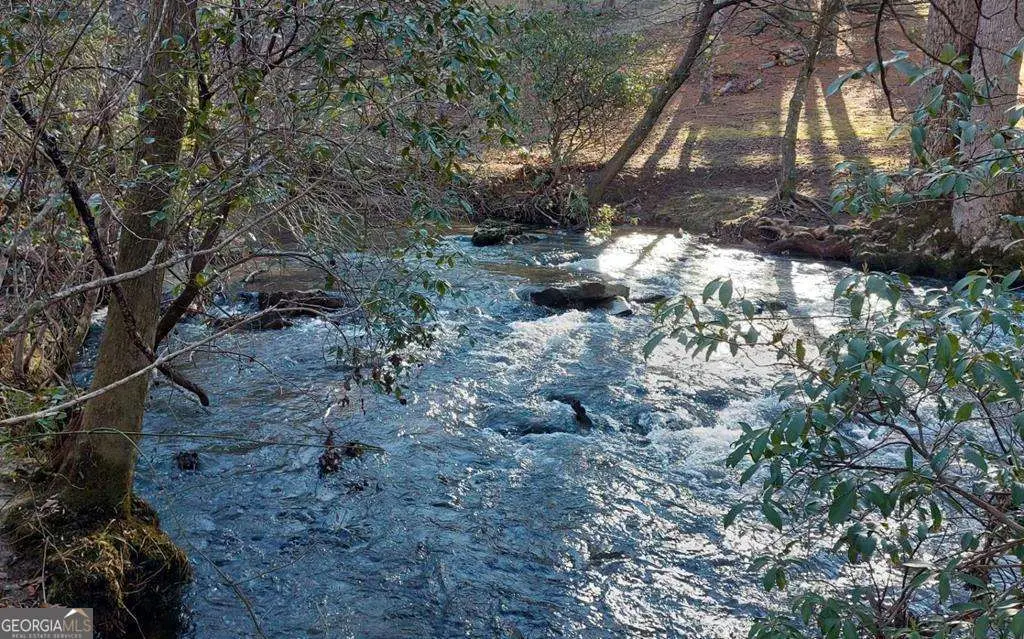 193 Opossum Road #61, Blairsville, GA 30512 - Image #1