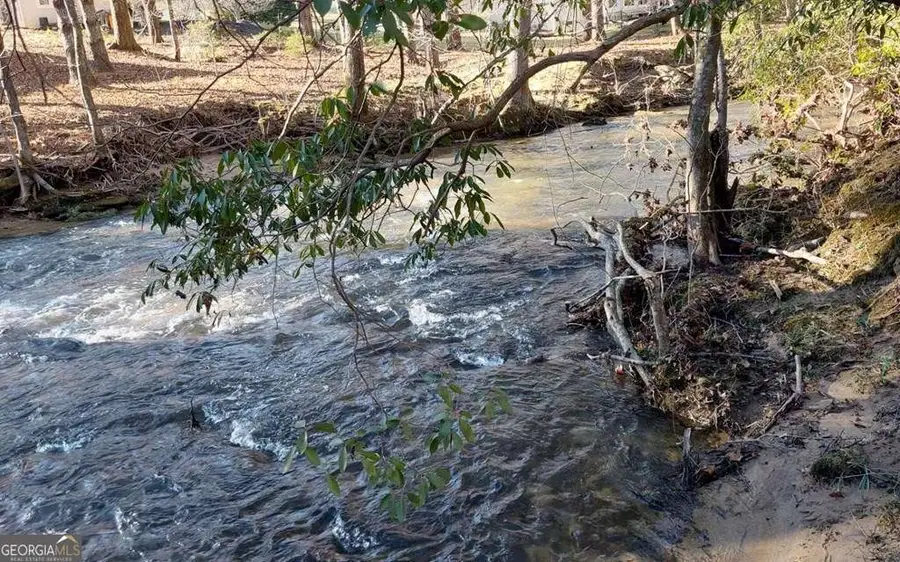 193 Opossum Road #61, Blairsville, GA 30512 - Image #3