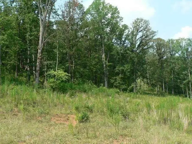 0 Duncan Bridge Road, Cleveland, GA 30528 - Image #3