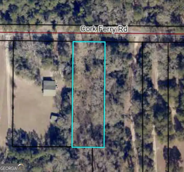 0 Cork Ferry Road, Cordele, GA 31015